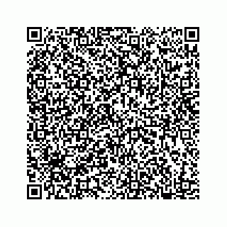 vCard 78182480393