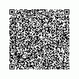 vCard 78182480397