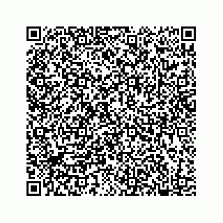 vCard 78182480399