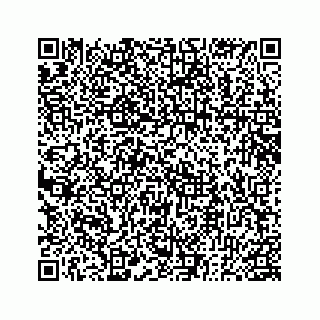 vCard 78182640281
