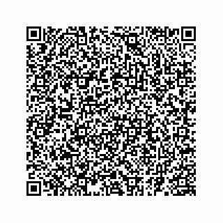 vCard 78183040384