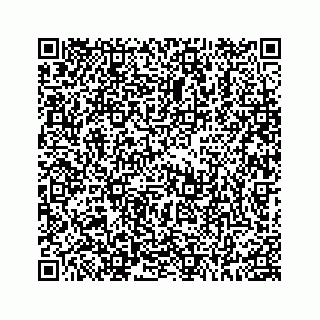 vCard 78183121300