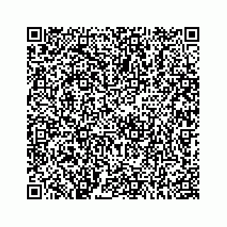 vCard 78183121381