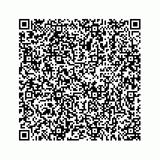vCard 78183121387