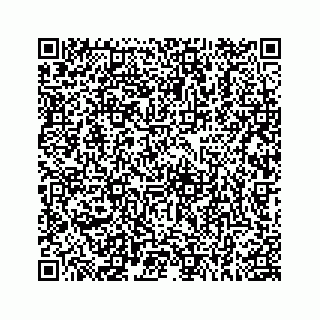 vCard 78183136387