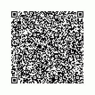 vCard 78183246381
