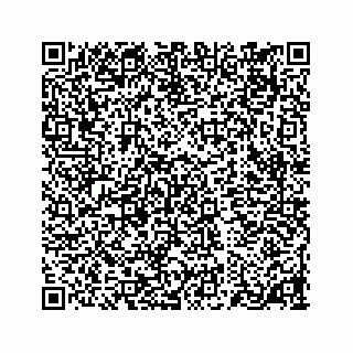vCard 78183351300
