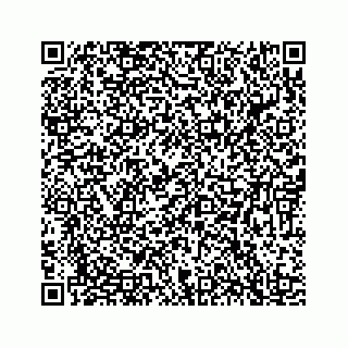 vCard 78183352100