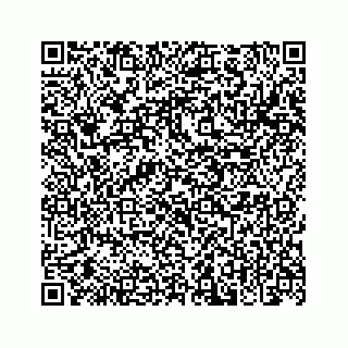 vCard 78183878131