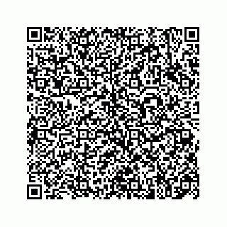 vCard 78183937333