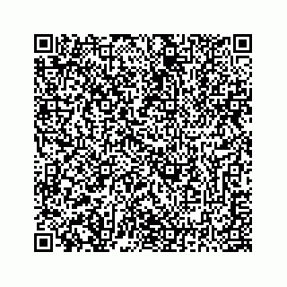 vCard 78183937380