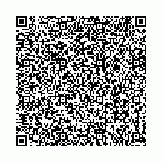 vCard 78184124273