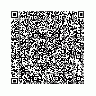 vCard 78184133339