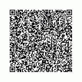 vCard 78184171384