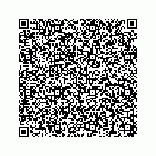 vCard 78184171387