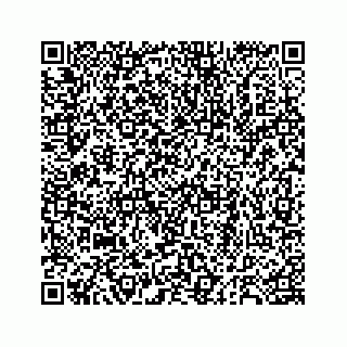 vCard 78184175540