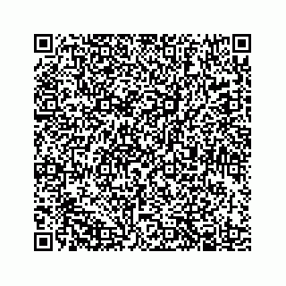 vCard 78184175804