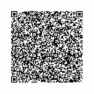 vCard 78184175863