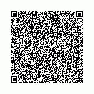 vCard 78184328190
