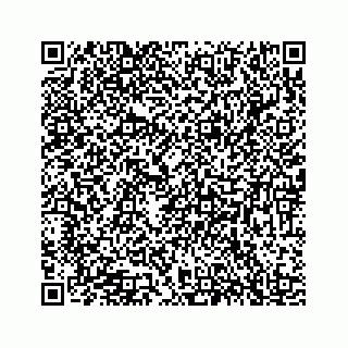 vCard 78184345279