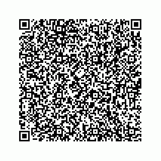 vCard 78184349291
