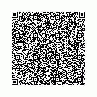 vCard 78184349295