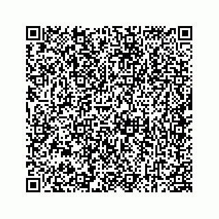 vCard 78184349311