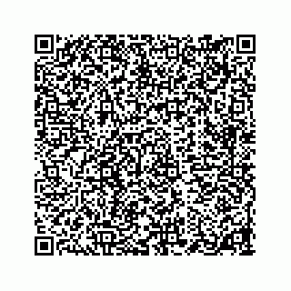 vCard 78184349313