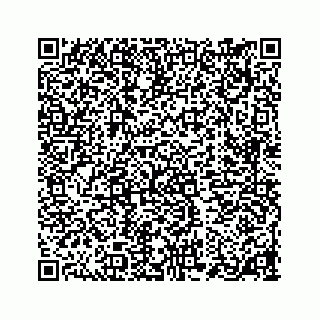 vCard 78184349321