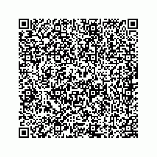 vCard 78184507302