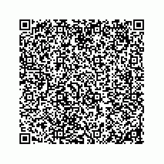 vCard 78184507313