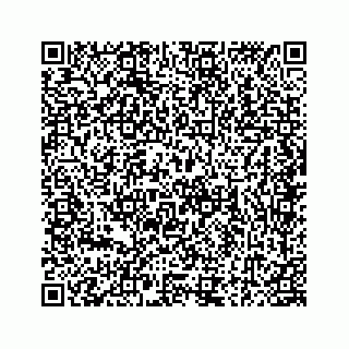 vCard 78184507381