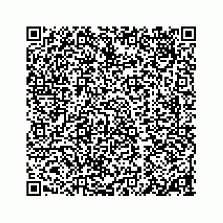 vCard 78184596107