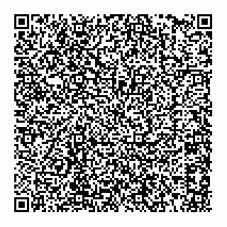 vCard 78184598303