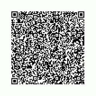 vCard 78184857933