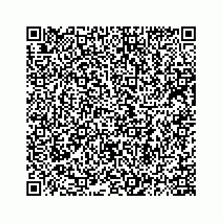 vCard 78184858027
