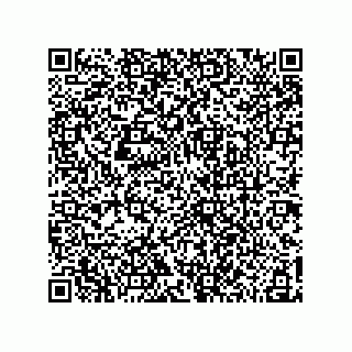 vCard 78185041000