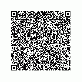 vCard 78185041003