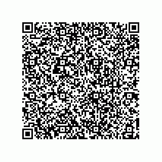 vCard 78185041025
