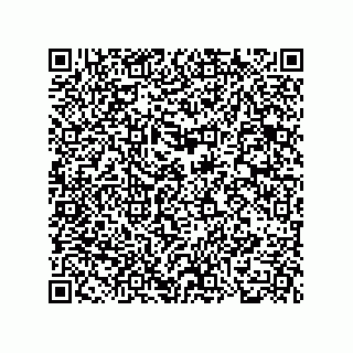 vCard 78185041027