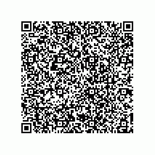vCard 78185041028