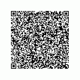 vCard 78185041033