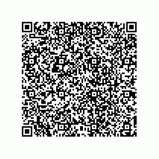 vCard 78185041101