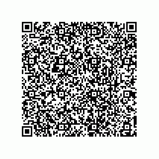 vCard 78185041153