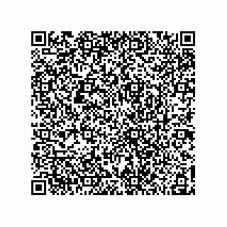 vCard 78185041187