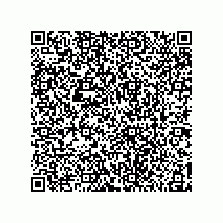 vCard 78185041287
