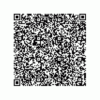 vCard 78185041295