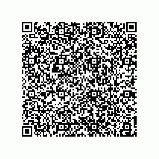 vCard 78185041296