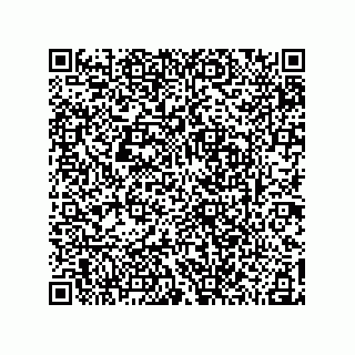vCard 78185041300