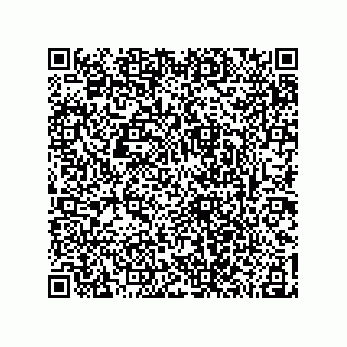 vCard 78185041303